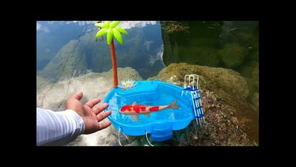 DIY MINI AQUARIUM Fish POOL POND!