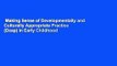 Making Sense of Developmentally and Culturally Appropriate Practice (Dcap) in Early Childhood