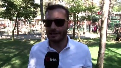 Ayı Silva havuzunda banyo yaptı, vatandaşlar ilgiyle izledi