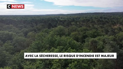 Incendies : la forêt de Fontainebleau sous surveillance des pompiers