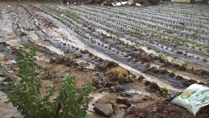 복구 작업 시작하기도 전에...오늘 다시 강한 비 예보 / YTN