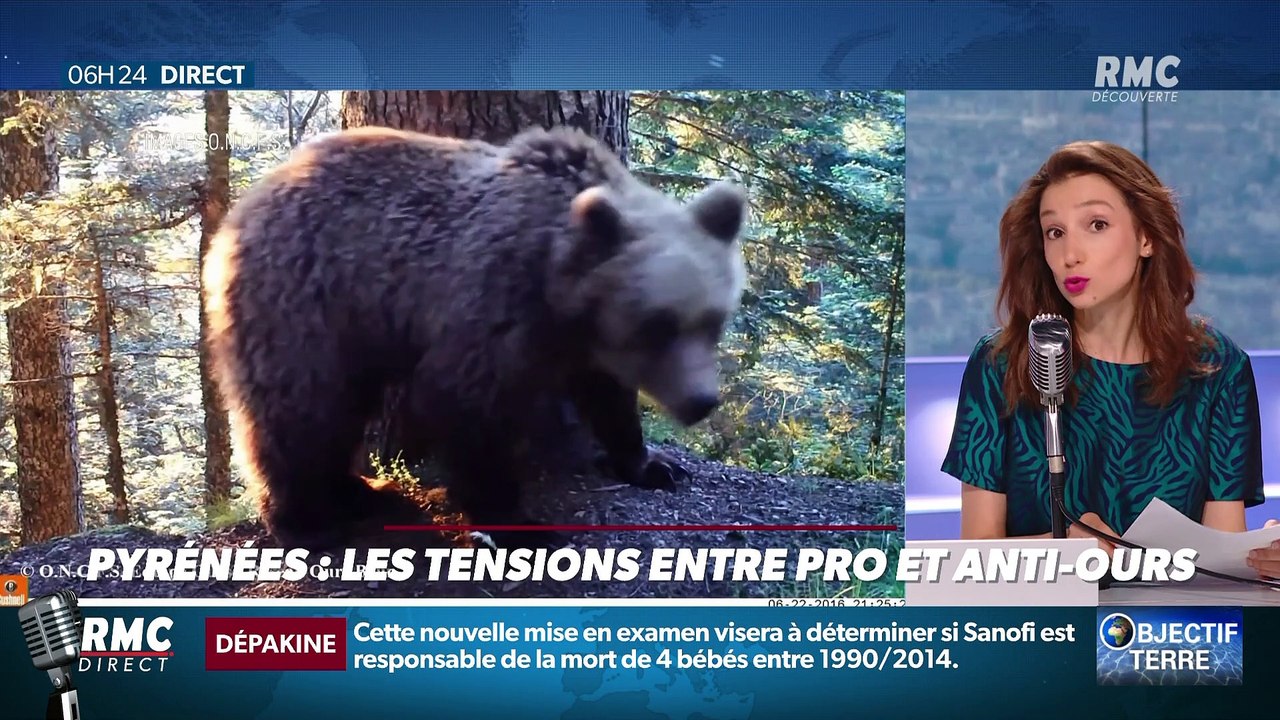Objectif Terre : Les tensions entre pro et anti-ours dans les Pyrénées - 04/08
