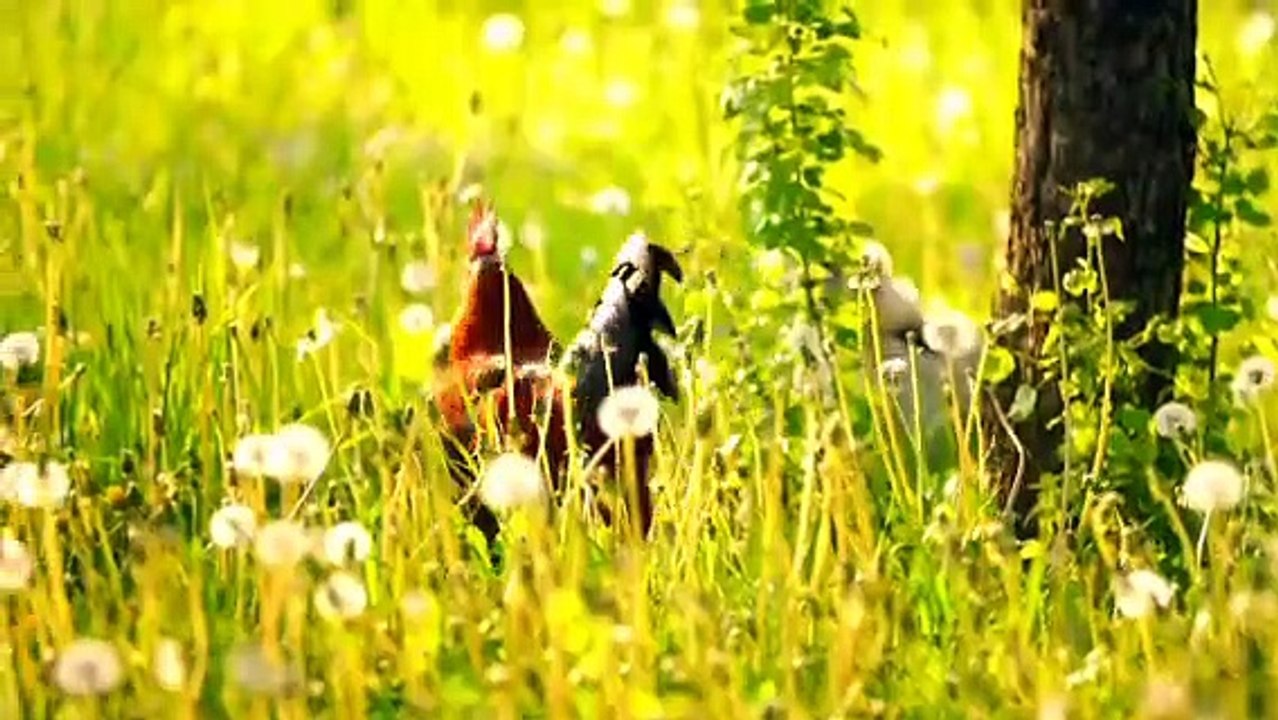 music with nature 2
