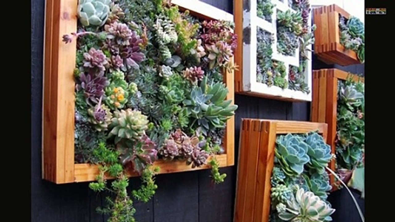 Top 100 Creative Ideas for Wooden in Pot _ in Container
