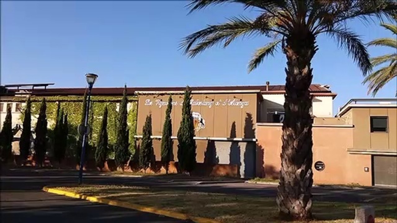 Un matin à Cabestany