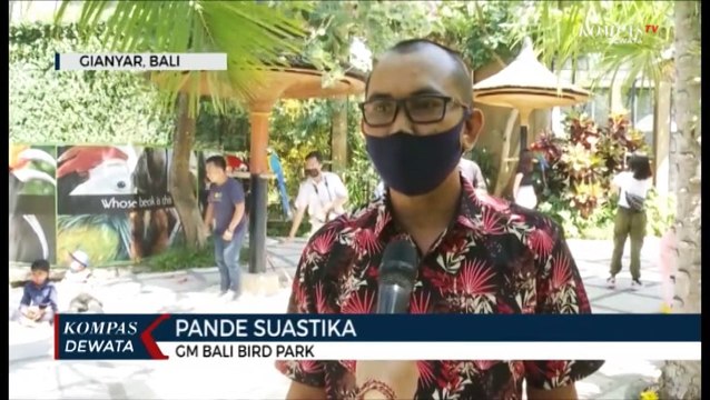 Pariwisata Dibuka , Bali Bird Park Di Dominasi Wisatawan Domestik