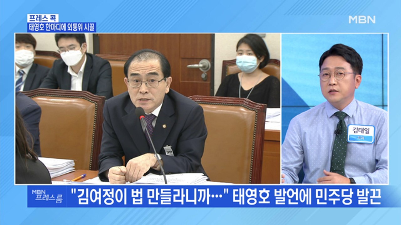 [MBN 프레스룸] 태영호 한마디에 외통위 시끌