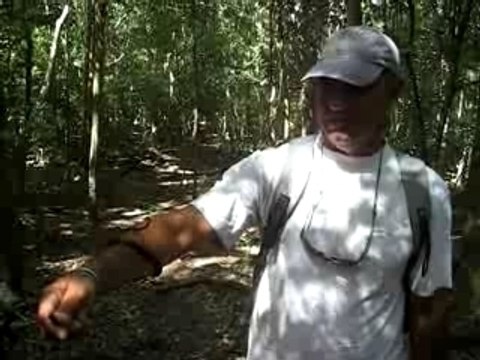 UCPA les saintes guadeloupe fevrier 2008