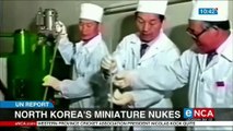 North Korea's miniature nukes