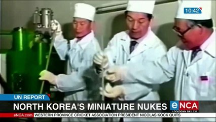 North Korea's miniature nukes