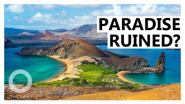 Ecuador Spots Huge Fishing Boat Flotilla Near Galapagos Islands