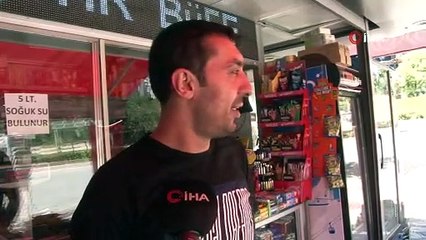 Sokak kedisi iki köpeğe saldırdı