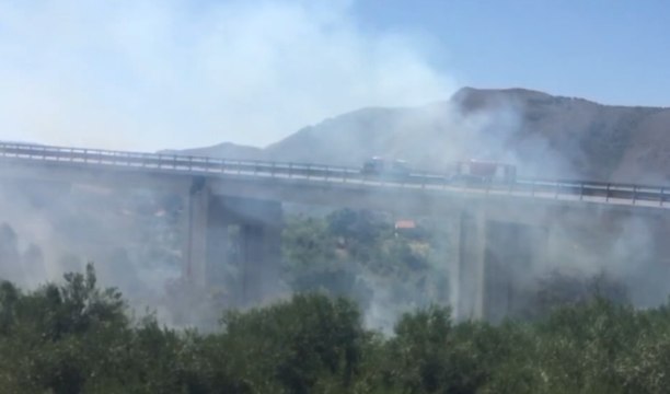 Incendi in provincia di Palermo: 25 interventi in poche ore (04.08.20)