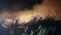 Incendi nel Cagliaritano, notte di lavoro per i Vigili del Fuoco (04.08.20)