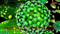 Coronavirus : la pandémie ne recule pas