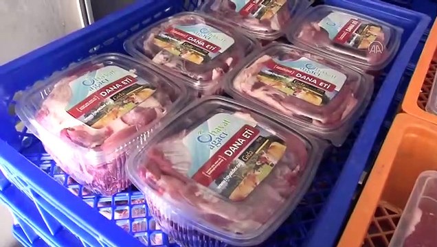 Hayat Ağacı Derneği 108 büyükbaş kurban kesti - SİVAS