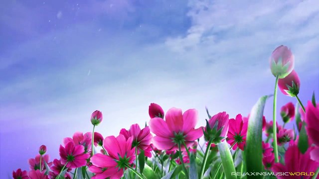 10.Starry, Starry Night by Chen Xiaoping - Relaxing Guitar Music(1)