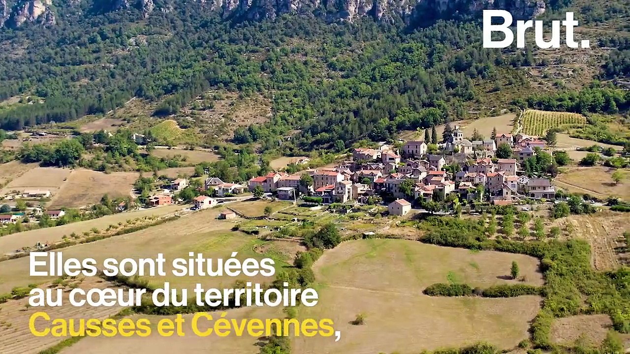Bienvenue dans les Gorges du Tarn, cette rivière qui longe un canyon somptueux