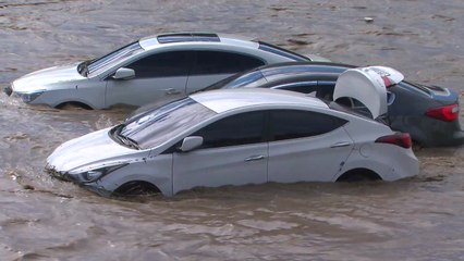 "차량 바퀴 반이상 잠기면 피해야"...침수도로 운행 요령 / YTN