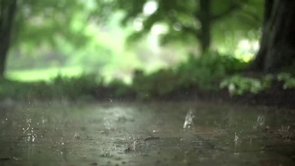 Rain Sound With Musical Background  Ideal To Relax, Meditate And Sleep Deeply # 1 Hour