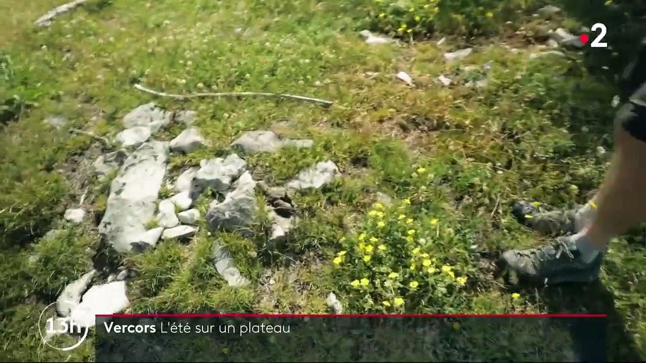 Été : retour sur les Hauts Plateaux du Vercors