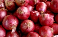 Red Onions Linked to Salmonella Outbreak Have Sickened Nearly 400 People in 34 States