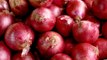 Red Onions Linked to Salmonella Outbreak Have Sickened Nearly 400 People in 34 States