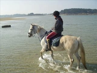 chez valérie chevaux d'endurance