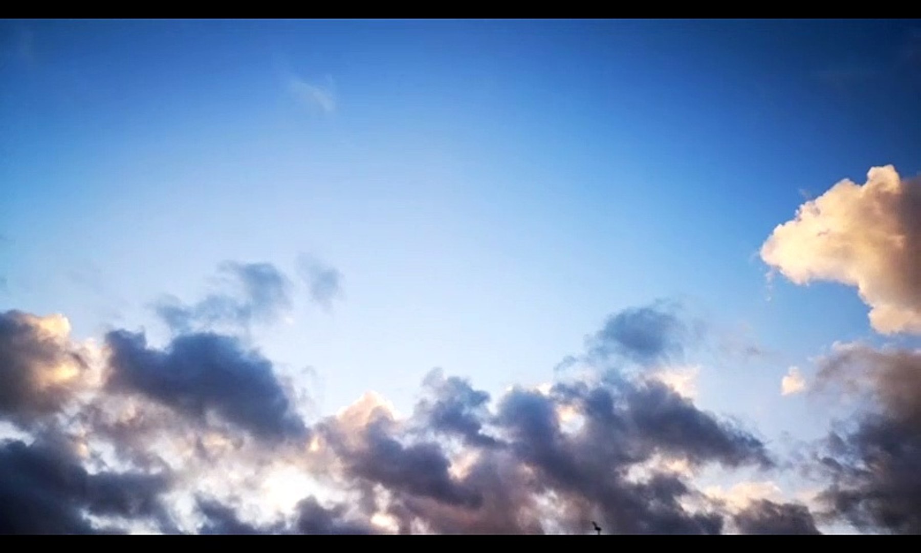 Calming Music, Deep Sleep Music, Meditation Music,  Study Music,