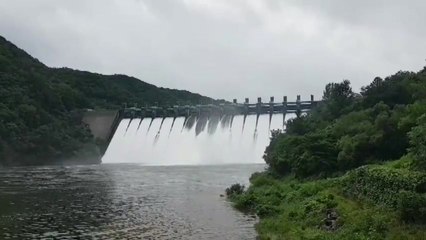 [앵커리포트] 3년 만에 문 연 화천댐...하늘서 본 춘천댐도 흙탕물 가득 / YTN