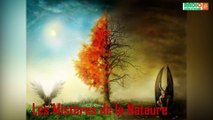 Les Mystères de la Nature/Les Mystères de la Nature avec Abou Philo et Maitre Bamba