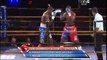 Ilunga Makabu vs Eric Fields (31-08-2013) Full Fight