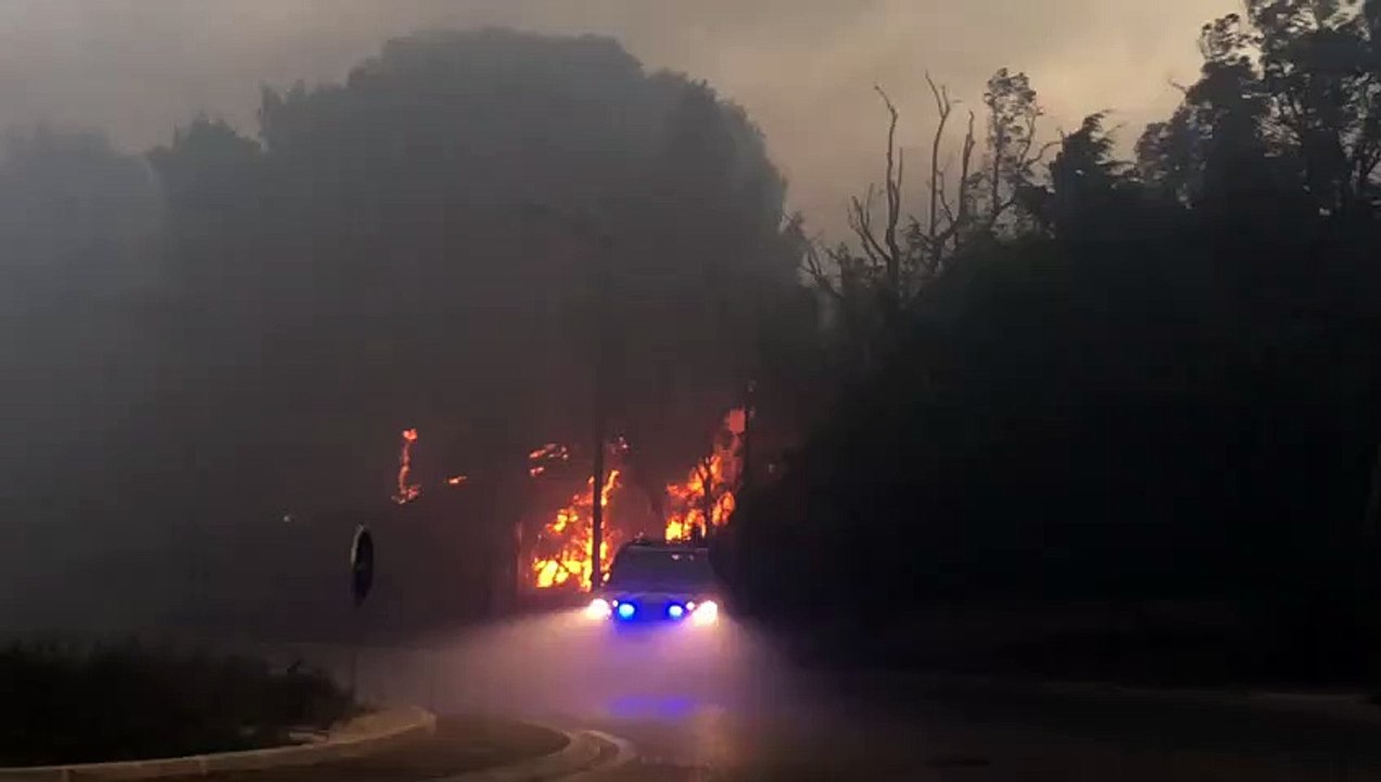 Feu à Port-de-Bouc : Plus de 50 hectares de broussailles ravagés par les flammes