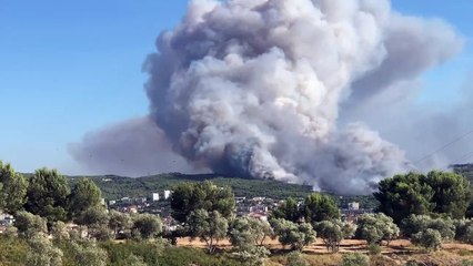 Feu à Martigues : neuf avions engagés