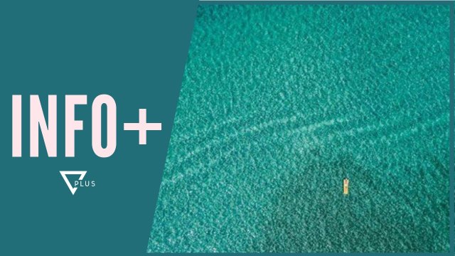 INFO+ / I zë gjumi mbi dyshek në det! Aventura e çiftit zviceran - Vizion Plus