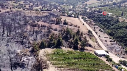 Orman yangınında evi küle döndü, gözyaşlarını tutamadı