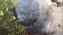 Report TV -Zjarr në pyjet e Devollit, një vatër u shua me ndihmën e grekëve