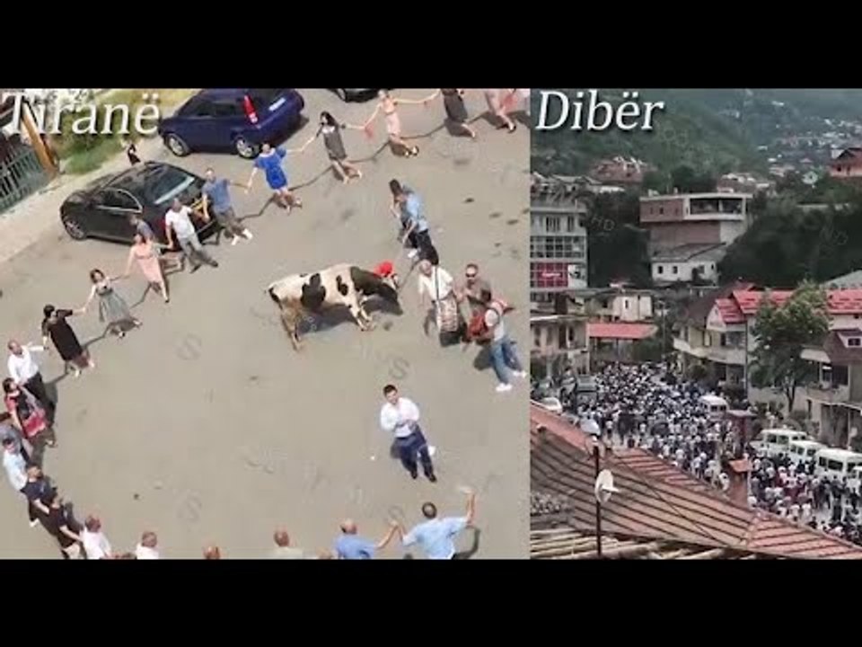 Në Tiranë dasmë me daulle e lopë, në Dibër turma i jep lamtumirën 18-vjeçarit. “Harrohet” COVID-19