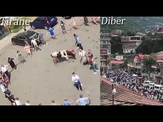 Në Tiranë dasmë me daulle e lopë, në Dibër turma i jep lamtumirën 18-vjeçarit. “Harrohet” COVID-19