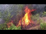 Devoll, prej dy ditësh zjarrfikësit në “luftë” me zjarrin që po shkrumbon disa hektarë pyje