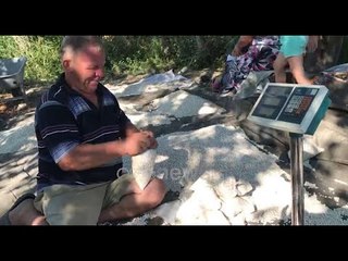 Ora News - Më pak fasule këtë vit