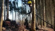 Bombeiros combatem incêndio ambiental no Bairro Tropical