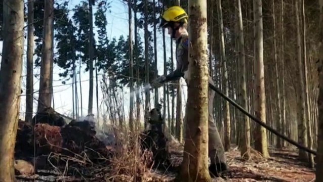 Bombeiros combatem incêndio ambiental no Bairro Tropical