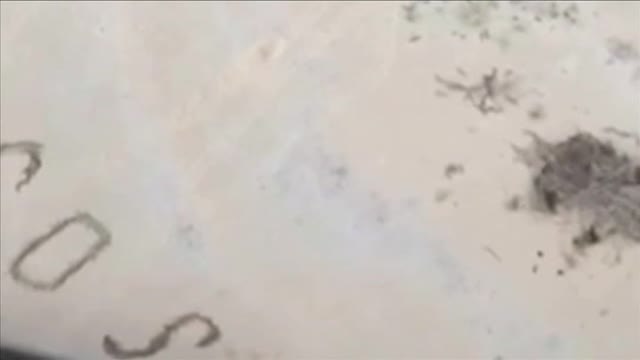 Una señal de socorro en la arena salva a tres marineros atrapados en una isla desierta