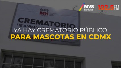 Ya hay crematorio público para mascotas en CDMX