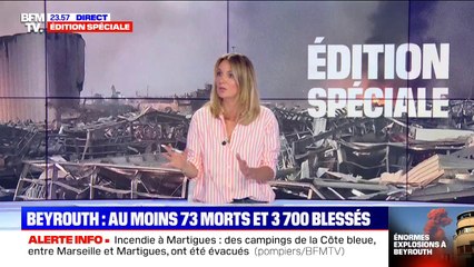 Liban: 2750 tonnes de nitrate d'ammonium à l'origine des explosions du port, selon les autorités libanaises