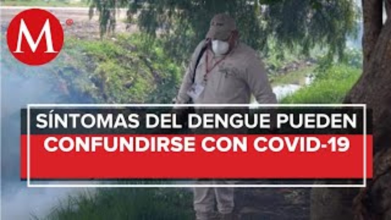 Reportan muerte de tres personas por dengue en Michoacán