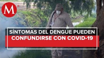 Reportan muerte de tres personas por dengue en Michoacán
