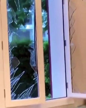 تحكم منزل راغب علامة بسبب انفجار مرفأ بيروت