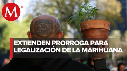 Corte otorga nueva prórroga para legislar despenalización del uso lúdico de la mariguana